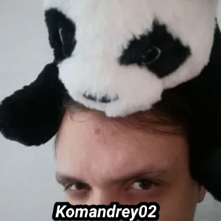 🐼