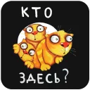 🙀