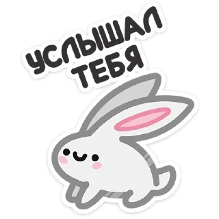 🐇