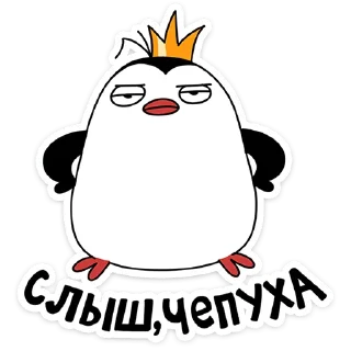 🐧