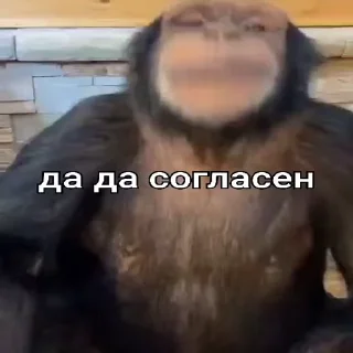 👍