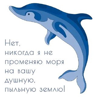 🐬