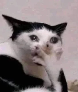 😥