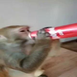 🥤