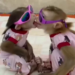 🦧