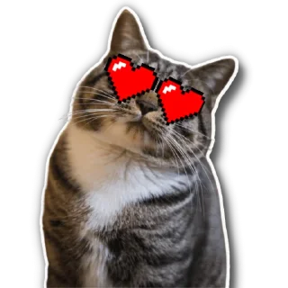 😻