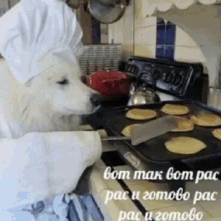 🧑‍🍳