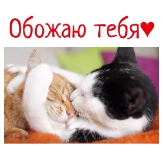 ❤️