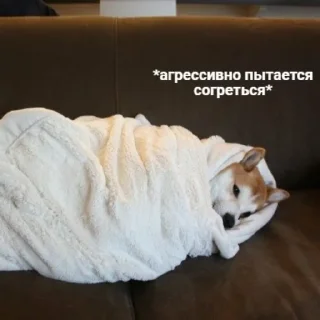 🥱