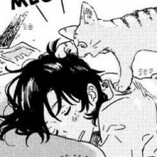 😴