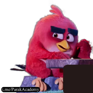 🙅‍♂️