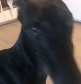 🤨