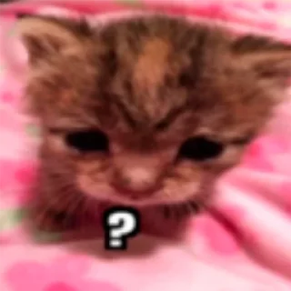 🤔