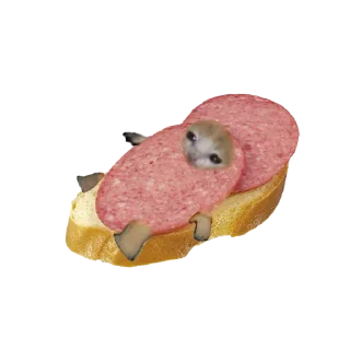 🥪