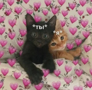 💗