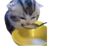 🥄