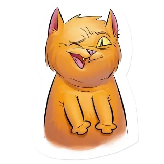 😽