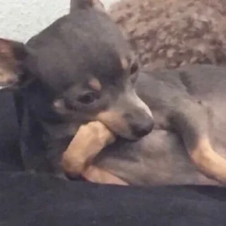 🙁