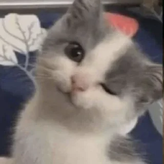 😏