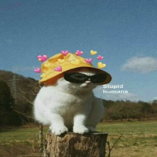🙂
