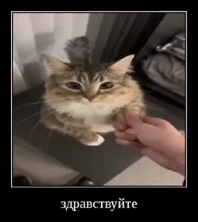 👋