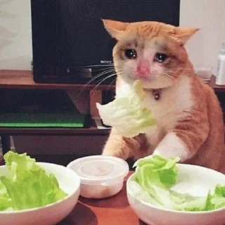 😭