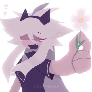 🐱