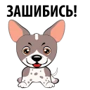 🐶
