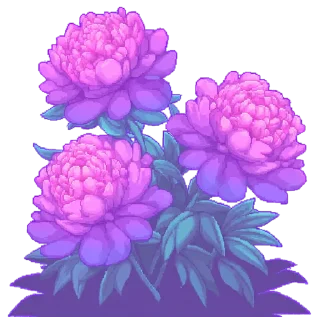 🌹