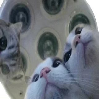🧐