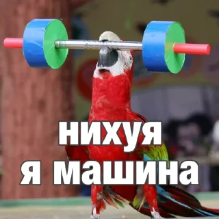 😎