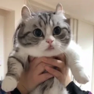 🥰