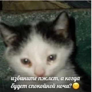 🥺
