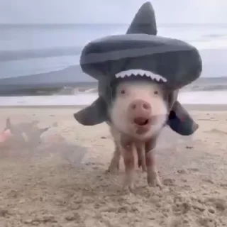🥰