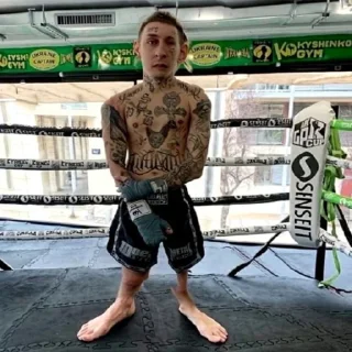 🥊