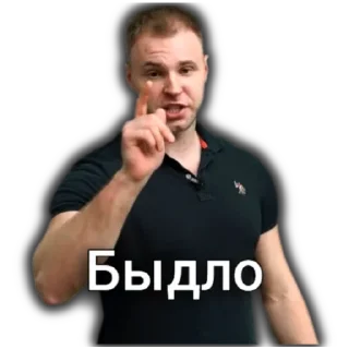 Artem Wolf