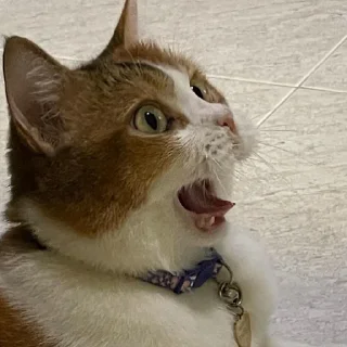 😱