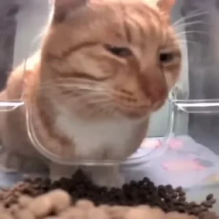 😐