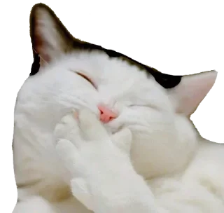 😆