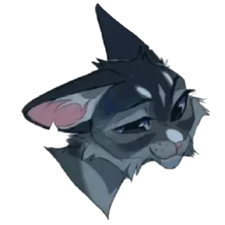 🐱
