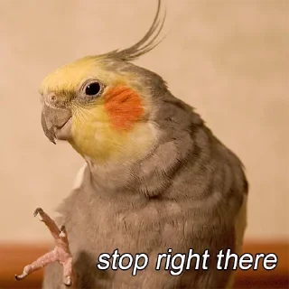 👊
