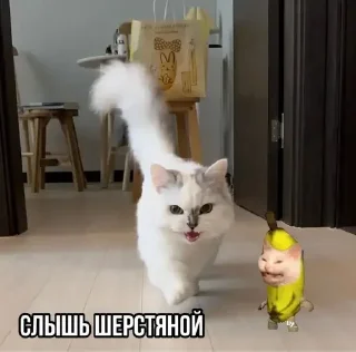 👻