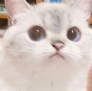 🙁