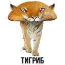 🐯