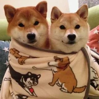 🤗