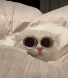👀