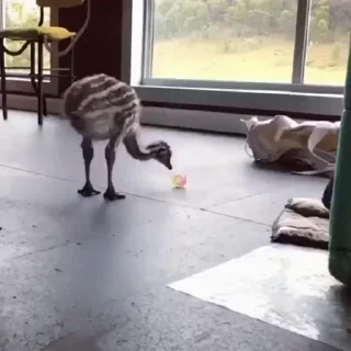 ⚽️