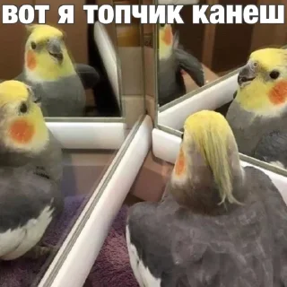 😎