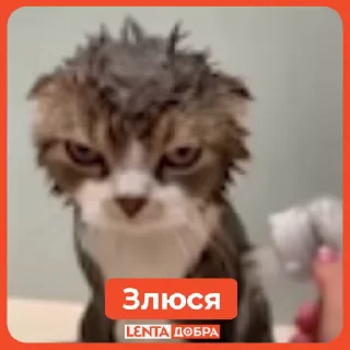 😡