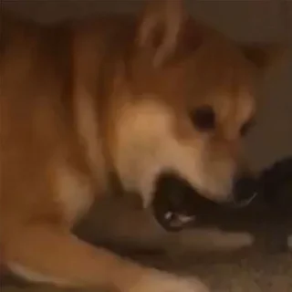 😮